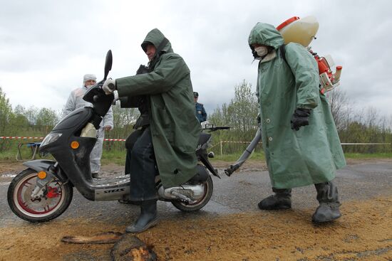 Outbreak of African swine fever in Novgorod Region