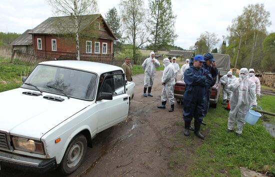 Outbreak of African swine fever in Novgorod Region