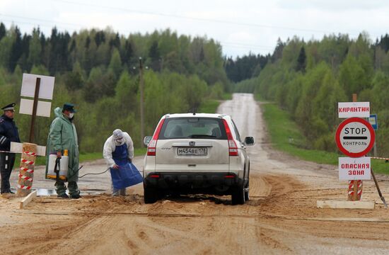 Outbreak of African swine fever in Novgorod Region