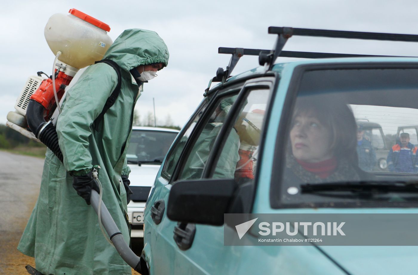 Outbreak of African swine fever in Novgorod Region