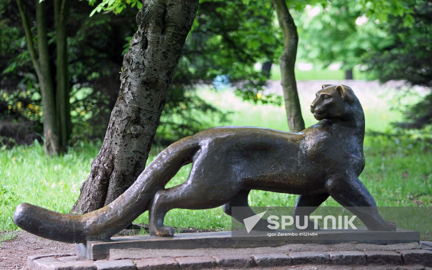 Russian cities. Kaliningrad