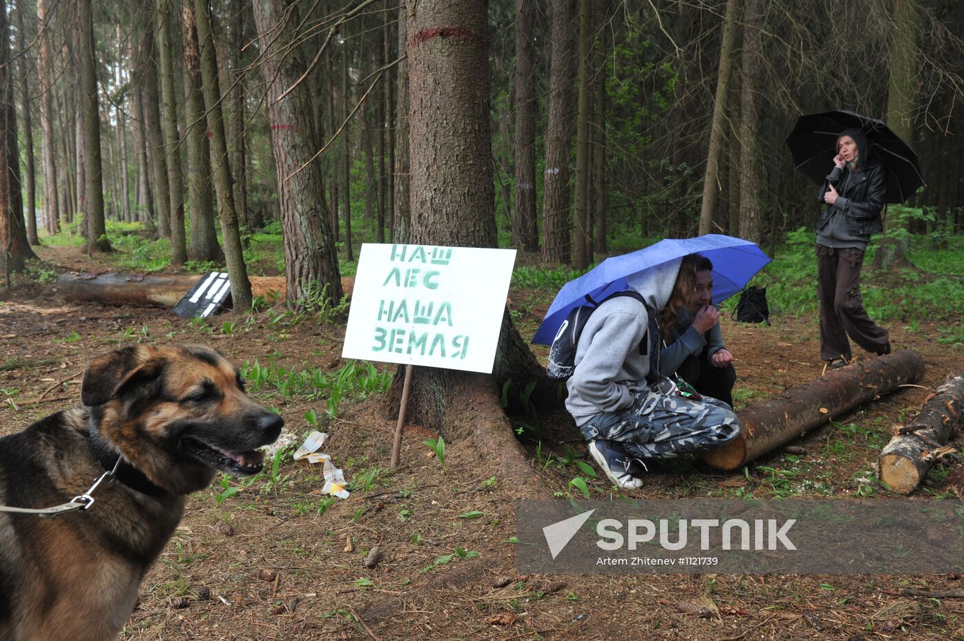 Tsagovsky Forest environmental defenders camp demolished
