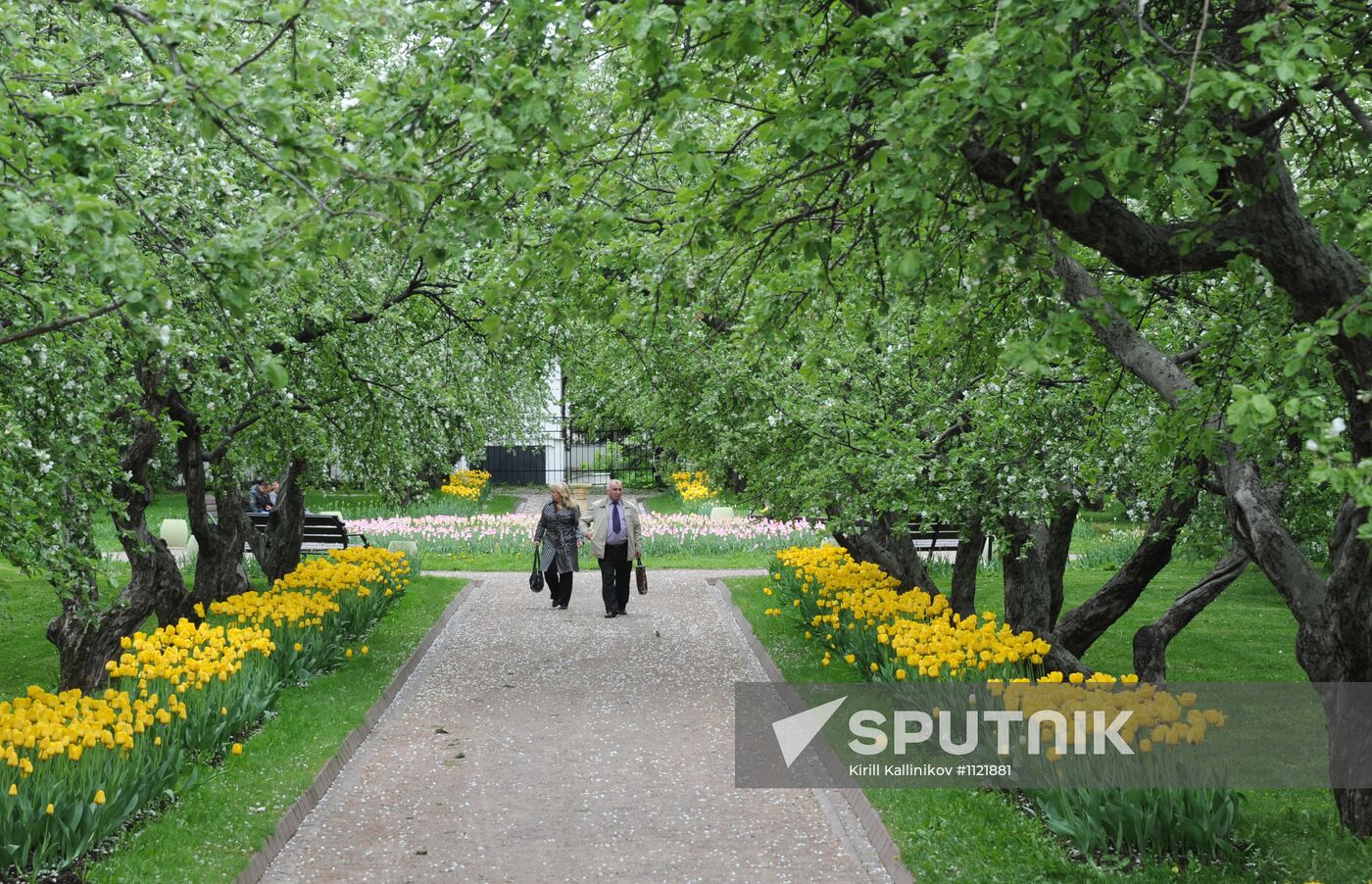 Kolomenskoye Museum Reserve