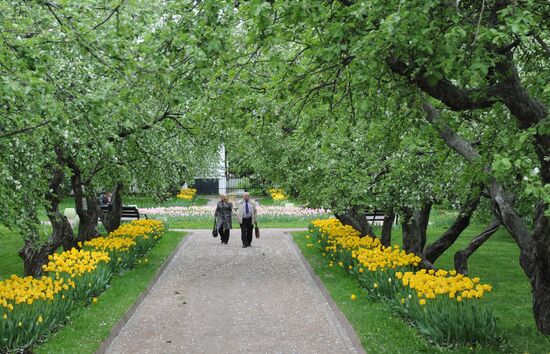 Kolomenskoye Museum Reserve