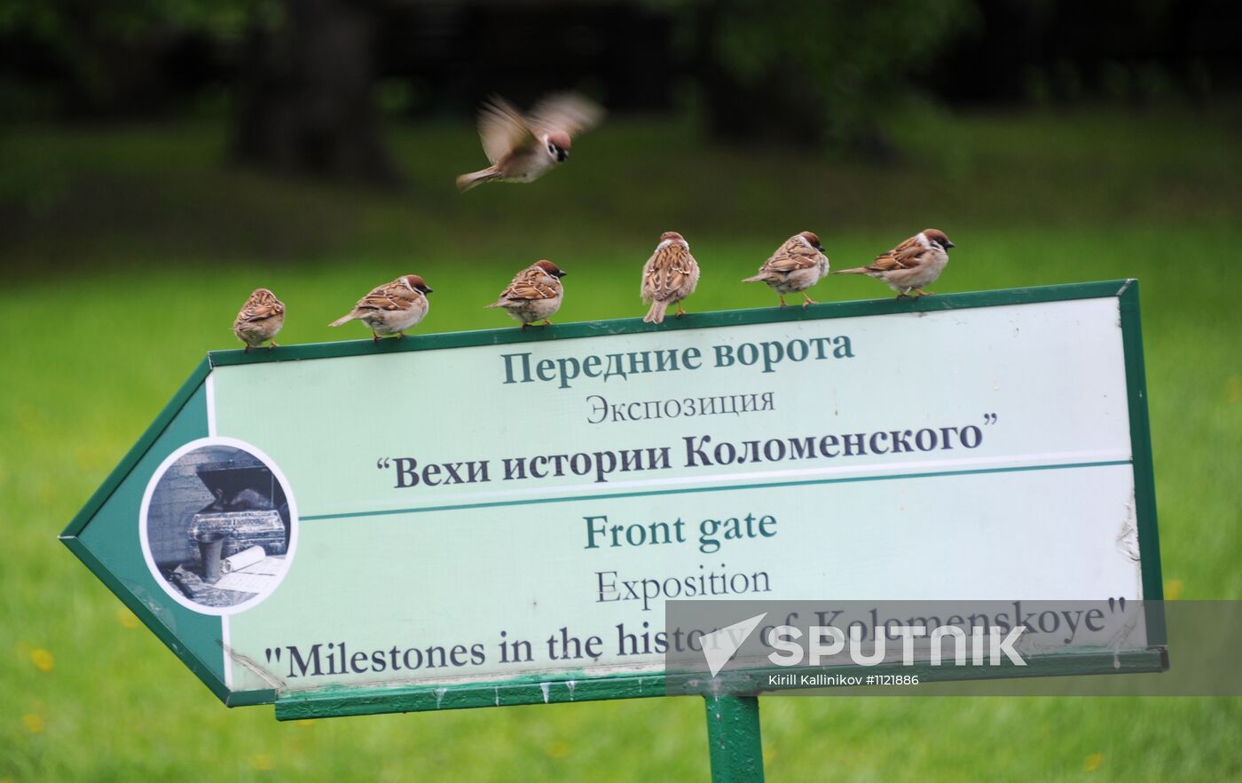 Kolomenskoye Museum Reserve