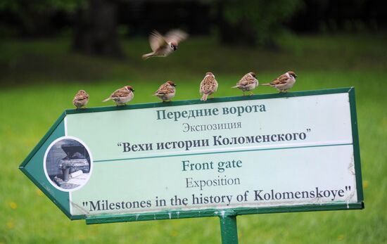 Kolomenskoye Museum Reserve