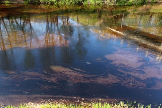 Oil spill in Novgorod region