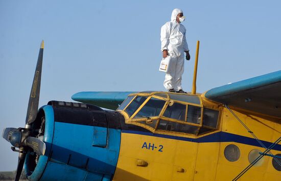 State of emergency declared in Astrakhan region due to locusts