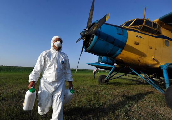 State of emergency declared in Astrakhan region due to locusts
