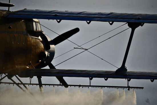State of emergency declared in Astrakhan region due to locusts