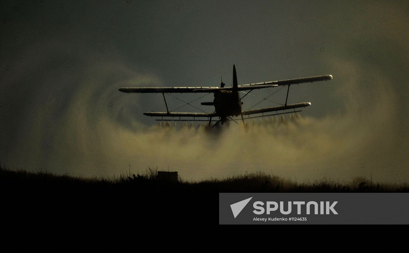 State of emergency declared in Astrakhan Region due to locust