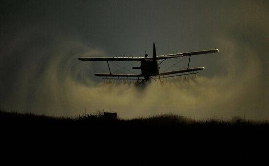 State of emergency declared in Astrakhan Region due to locust