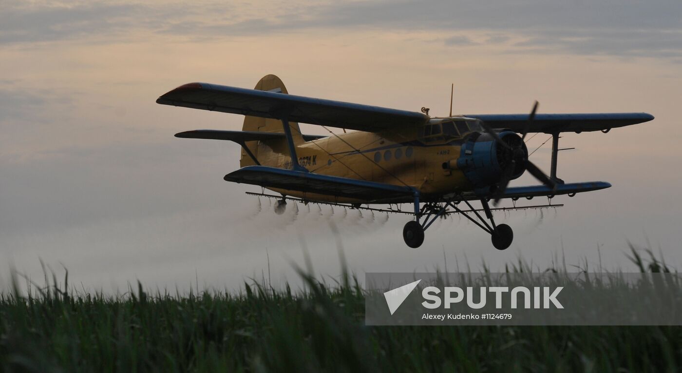 State of emergency declared in Astrakhan Region due to locust