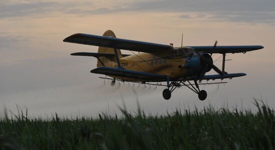 State of emergency declared in Astrakhan Region due to locust