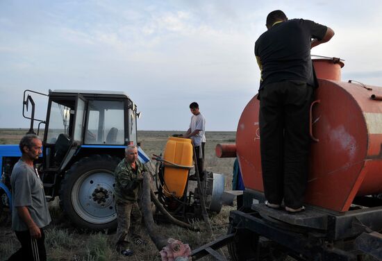 State of emergency declared in Astrakhan region due to locusts