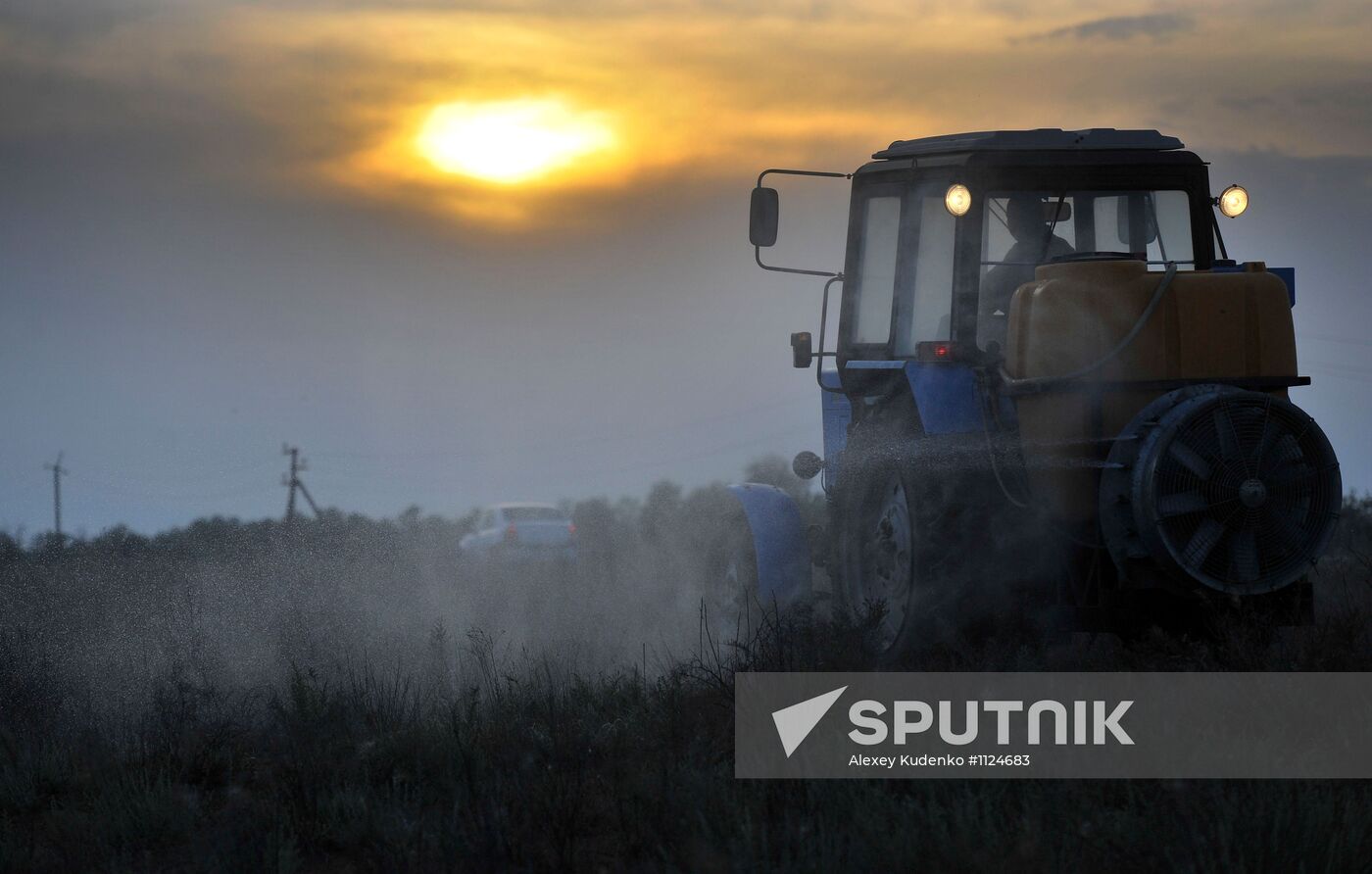 State of emergency declared in Astrakhan region due to locusts
