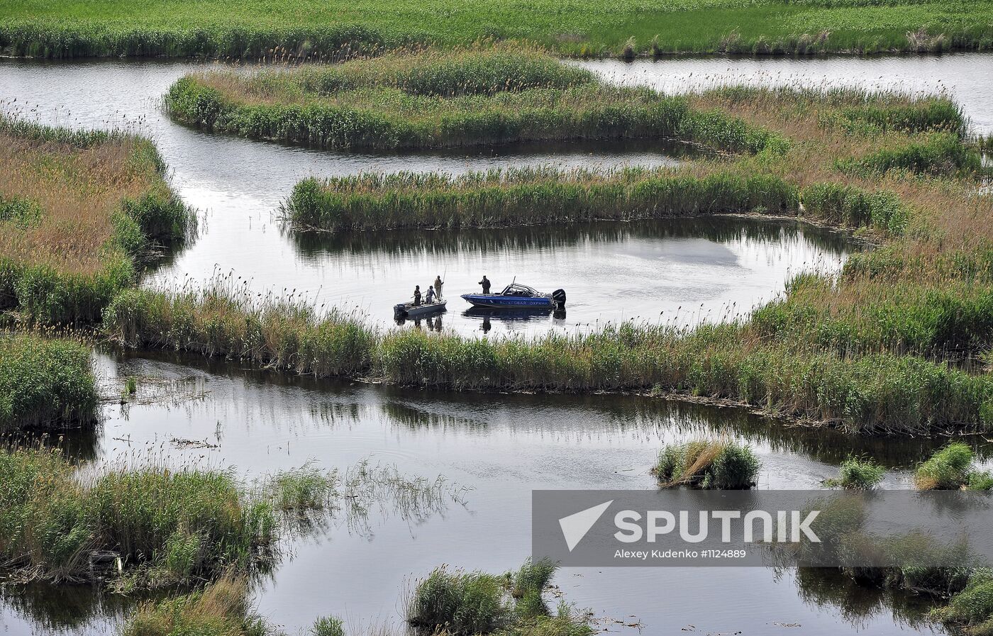 Curbing sturgeon poaching in Caspian Sea