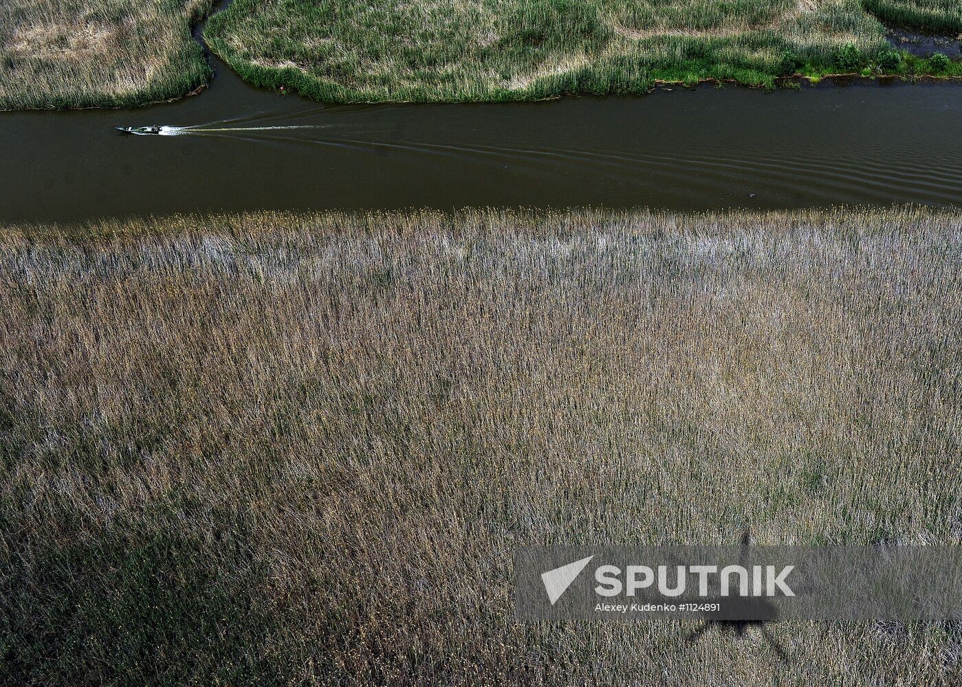 Curbing sturgeon poaching in Caspian Sea