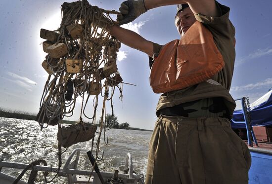 Curbing sturgeon poaching in Caspian Sea