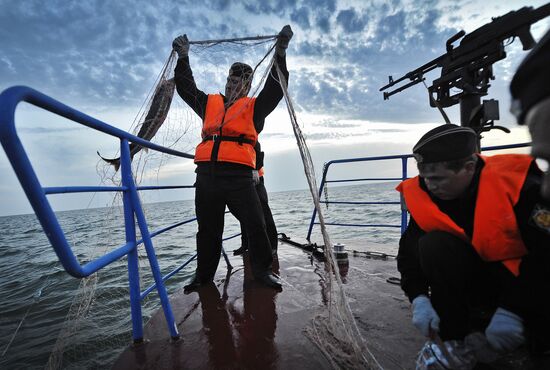 Curbing sturgeon poaching in Caspian Sea