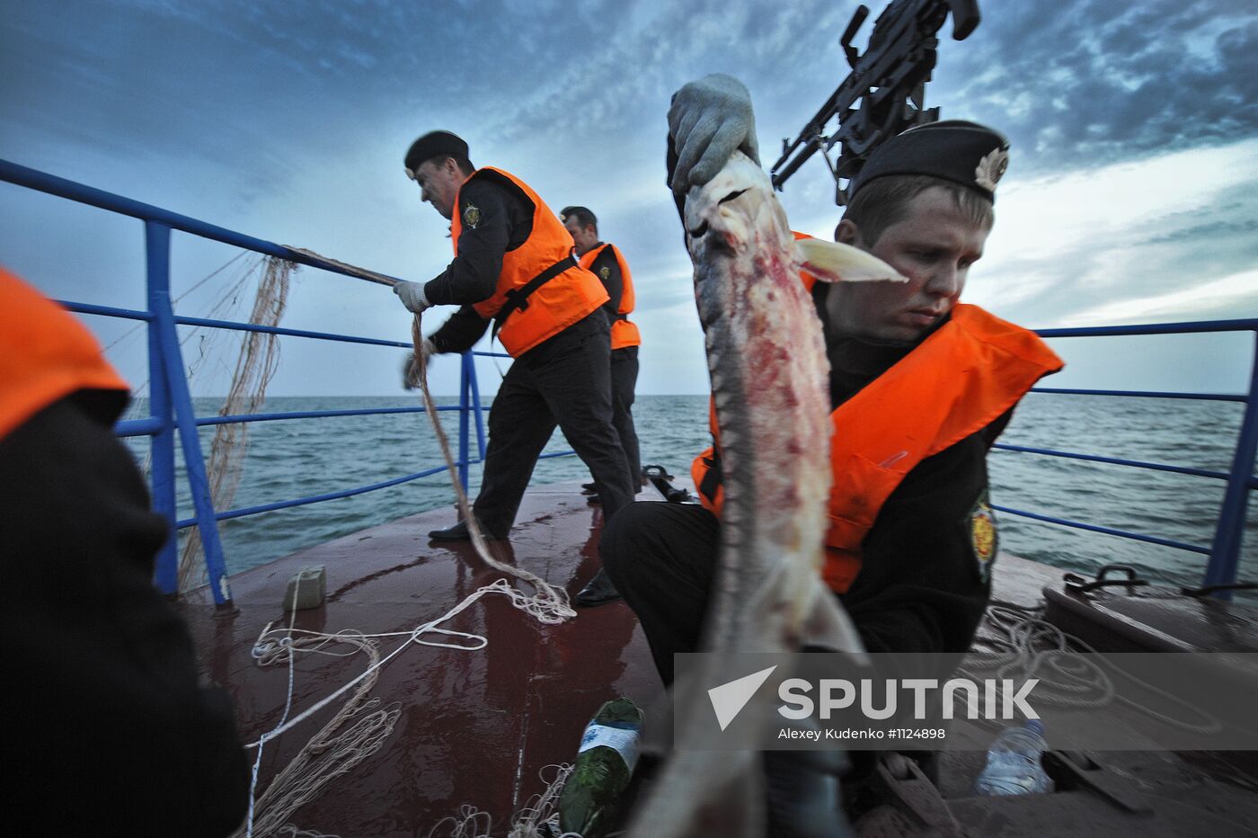 Curbing sturgeon poaching in Caspian Sea