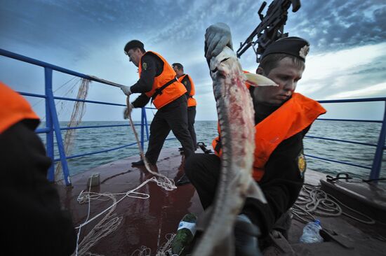 Curbing sturgeon poaching in Caspian Sea