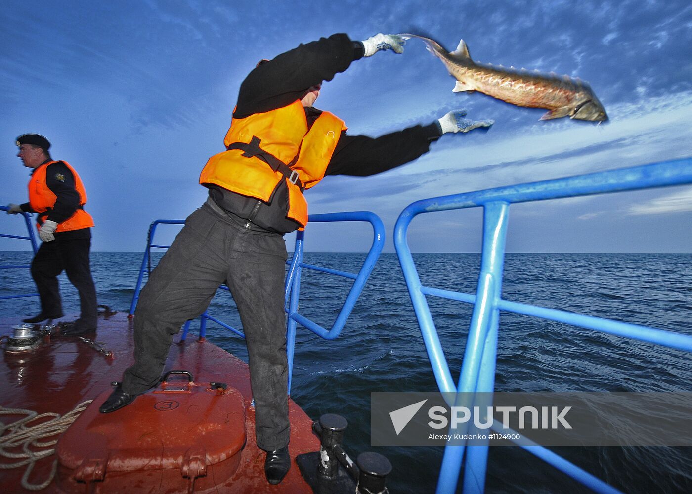 Curbing sturgeon poaching in Caspian Sea