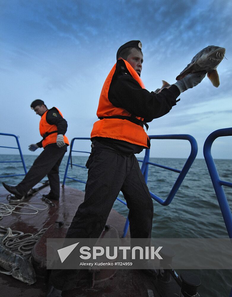 Curbing sturgeon poaching in Caspian Sea