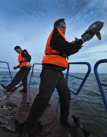 Curbing sturgeon poaching in Caspian Sea