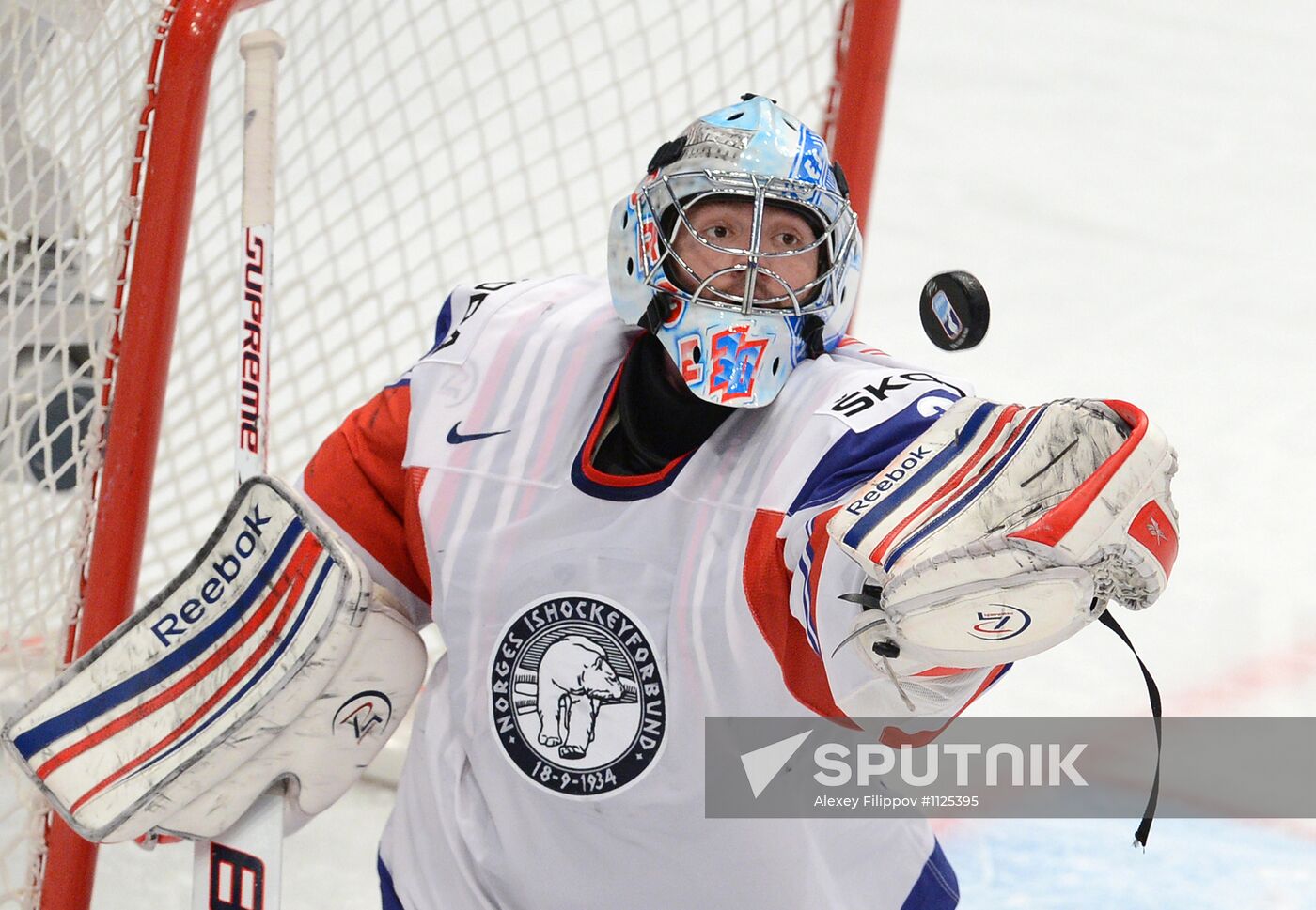 Hockey World Championship. Match Russia - Norway