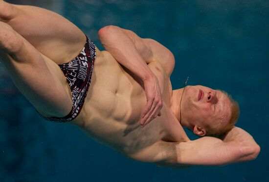 European Diving Championships 2012. Men. Third Day