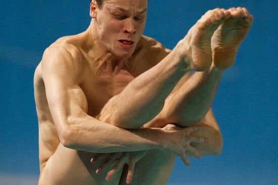 European Diving Championships 2012. Men. Third Day