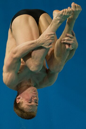 European Diving Championships 2012. Men. Third Day