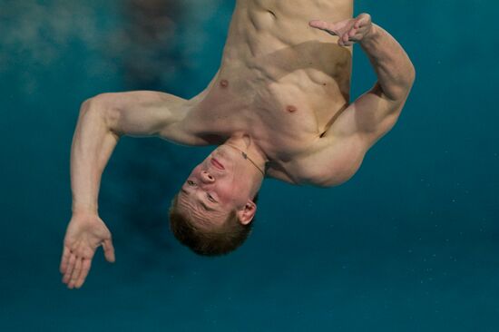 European Diving Championships 2012. Men. Third Day