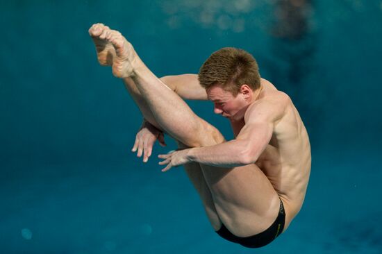 European Diving Championships 2012. Men. Third Day