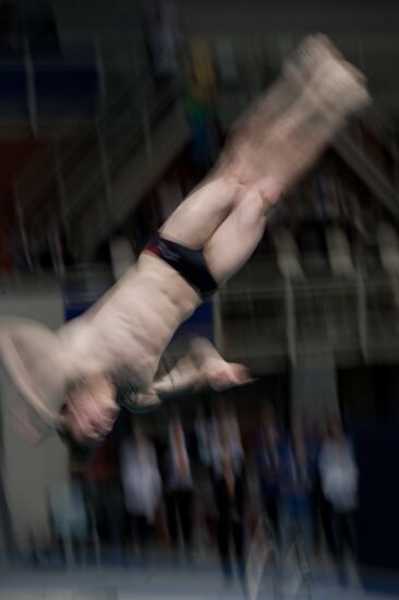 European Diving Championships 2012. Men. Third Day