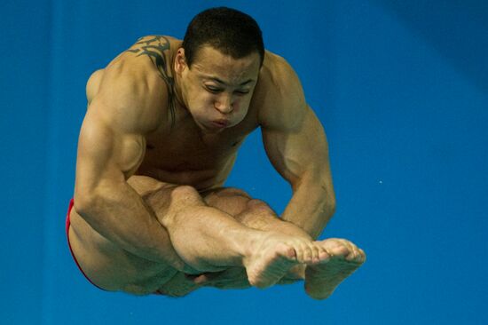 European Diving Championship 2012. Men. Third Day