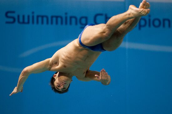 European Diving Championship 2012. Men. Third Day