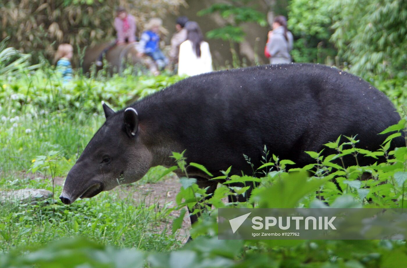 Berlin Zoo