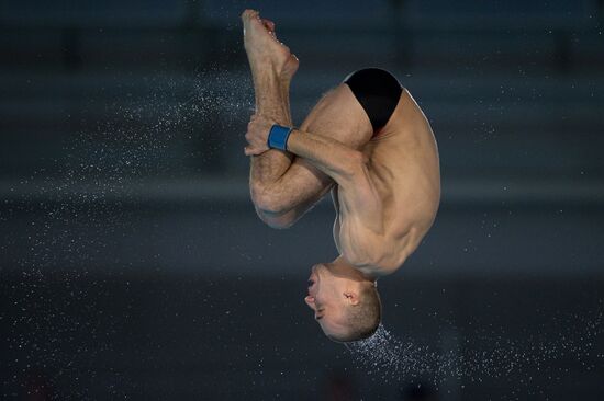 2012 European Diving Championship. Men's 10 m springboard