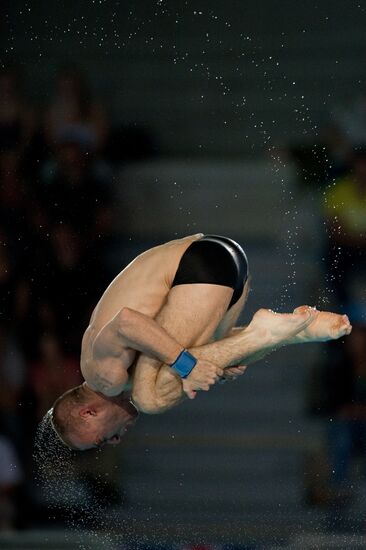 2012 European Diving Championship. Men's 10 m springboard