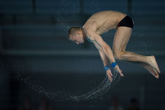 2012 European Diving Championship. Men's 10 m springboard