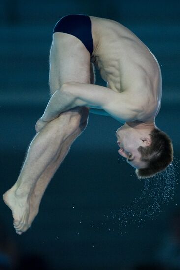 Synchronized diving European Diving Championship. Men's 10 m