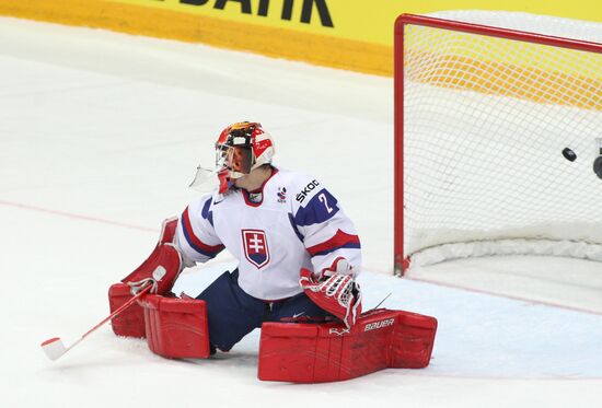 Hockey World Championship. Match Russia - Slovakia