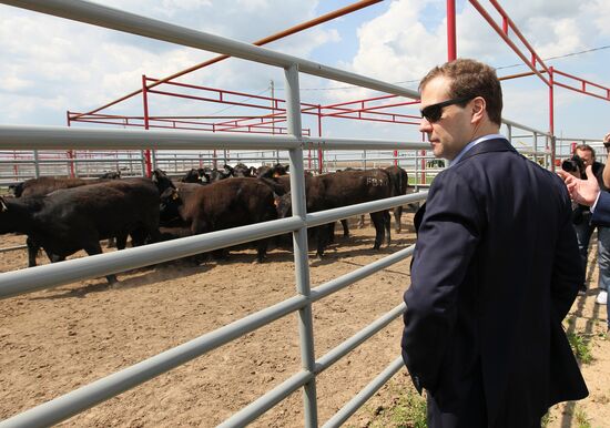 Dmitry Medvedev's working trip to Bryansk Region