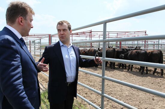 Dmitry Medvedev's working trip to Bryansk Region