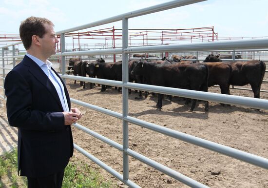 Dmitry Medvedev's working visit to Bryansk Region