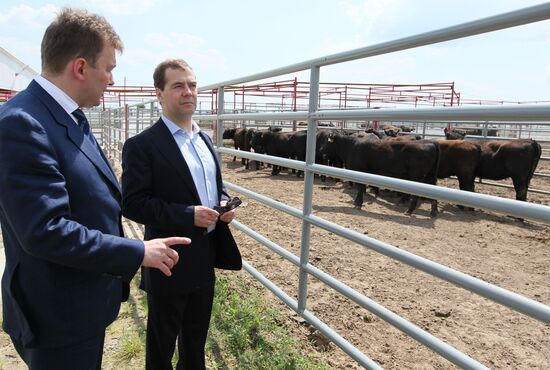 Dmitry Medvedev's working visit to Bryansk Region