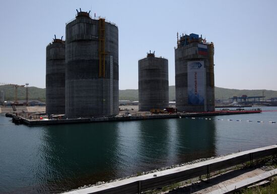 Construction of GBS for Berkut platform