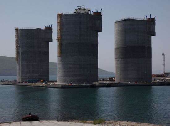 Construction of GBS for Berkut platform